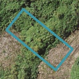 7 Morehu Wilson Road, JOHNS, AUCKLAND