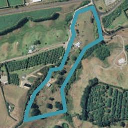 17 Mountier Road, Whakamarama, Katikati