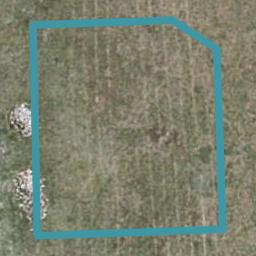 16 Rangataiki Place, Awatoto, Napier