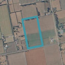 174 Maronan Road, Tinwald, Ashburton