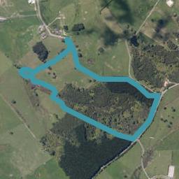 80 Frost Road, Waitoki
