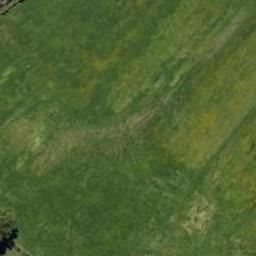 40 Sycamore Drive, TE KAMO