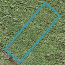 21 Roundel Crescent, Whenuapai, Auckland
