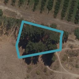 24 Searle Drive, Cromwell, Cromwell