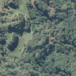 51A Wharenui Road, Poroporo, Whakatāne