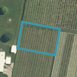 54 Te Mara Drive, LEAMINGTON, CAMBRIDGE