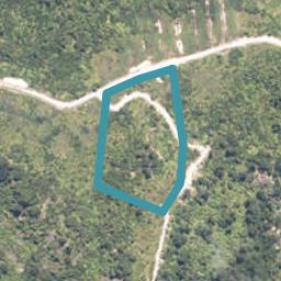 0 Kongahu Swamp Road, Little Wanganui, Karamea