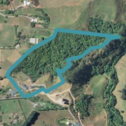 439C Wainui South Road, Whakamarama, Whakamārama