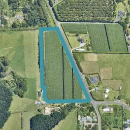 143 Keenan Road, PYES PA, TAURANGA