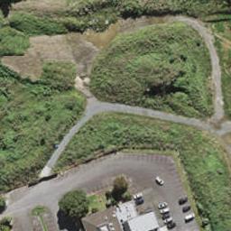 41 Huri Street, Mangere Bridge, Auckland