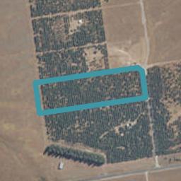 0 Manuka Tce, Ben Ohau, Twizel