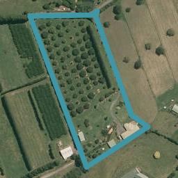 480A Youngson Road, Whakamarama, Whakamārama