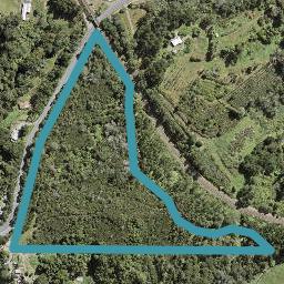 1250 Scenic Drive North, Swanson, Auckland