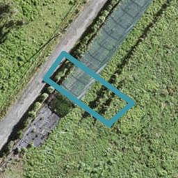5 Silver Fern Avenue, Hobsonville, Auckland