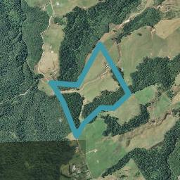 929 Work Road, Whakamarama, Katikati