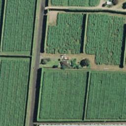 91 Te Matai Road, Te Puke, Te Puke