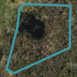 12 Sawgrass Rise, Te Kamo, Whangārei
