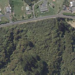 415 Saddle Hill Road, DUNEDIN, Dunedin