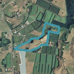 285A WAINUI SOUTH RD, Whakamarama, Katikati