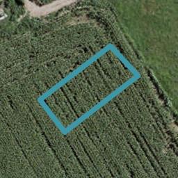 38 Korowhiti Road, Clarks Beach, Clarks Beach