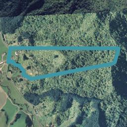 295 Tirohanga Road, Tirohanga, Opotiki