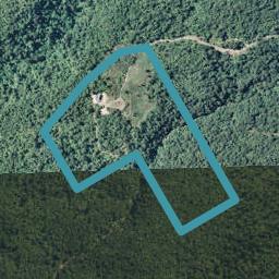 914 Work Road, Whakamarama, Katikati