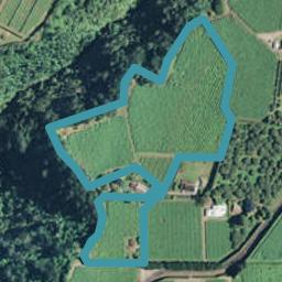 496 No 3 Road, Te Puke, Te Puke