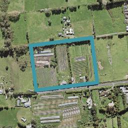 11 Hailes Road, Whenuapai, Auckland