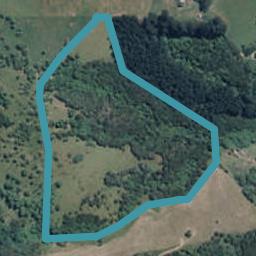 102 Holmes Bay Valley Road, Pigeon Bay, Pigeon Bay