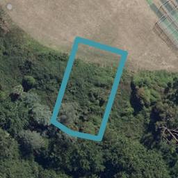 12 Kawakawa Place, Hillcrest, Hamilton