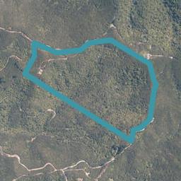 299 Waiaua Road, Hihi, Mangōnui