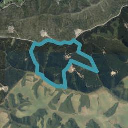 515 Big Stone Road, Kuri Bush, Dunedin