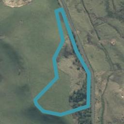 196 Puketirau Road, Tirau