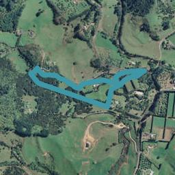 311 Woodland Road, Tahawai, Katikati