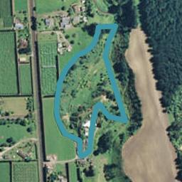 775B Pyes Pa Road, Pyes Pa, Tauranga