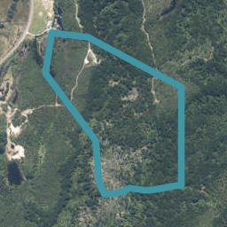 7726B State Highway 6, Charleston, Cape Foulwind