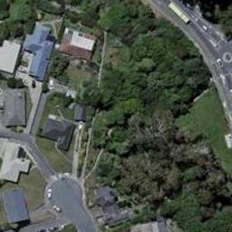 29 Paeroa Street, Newtown, Wellington