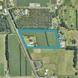 162 Keenan Road, Pyes Pa, Tauranga