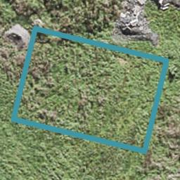 8 Whenuapai Drive, Whenuapai, Auckland