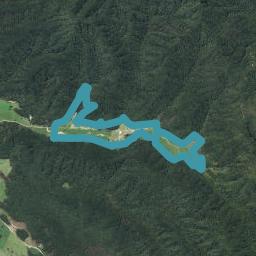 170 Orwell Creek Road, TOTARA FLAT, Totara Flat