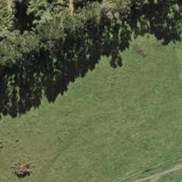 193 Henwood Road, Westgate, Auckland