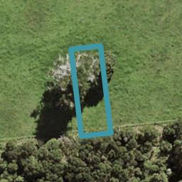 56 Te Aniwaniwa Terrace, Albany, Auckland