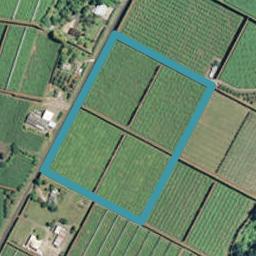 183 No 4 Road, Te Puke, Te Puke