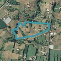 328 Youngson Road, Whakamarama, Tauranga