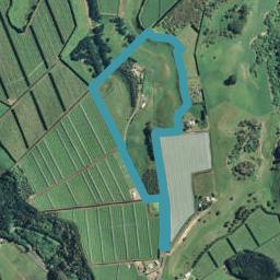 153 Stockton Road, Pukehina, Pukehina
