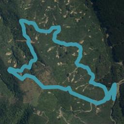 0 Moss Rd, Takaka Hill, Motueka