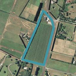 648A ESDAILE ROAD, Whakamarama, Western Bay Of Plenty