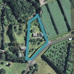 260 Hot Springs Road, Tahawai, Katikati