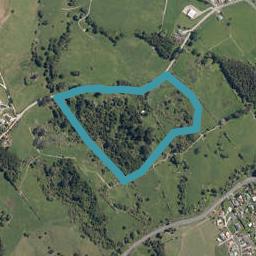 0 Griffin Road, Maungaturoto