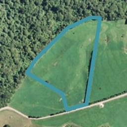 869 Mangatoi Road, Oropi, Tauranga